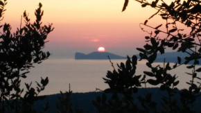 Il Giardino Degli Iris Alghero
